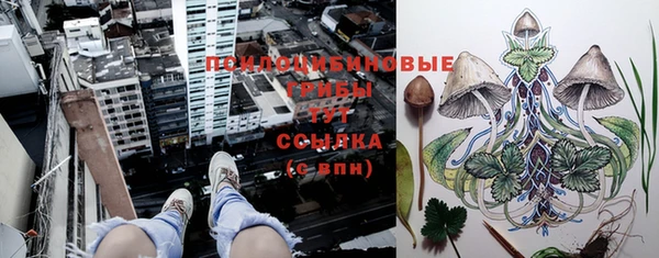 дурь Балабаново