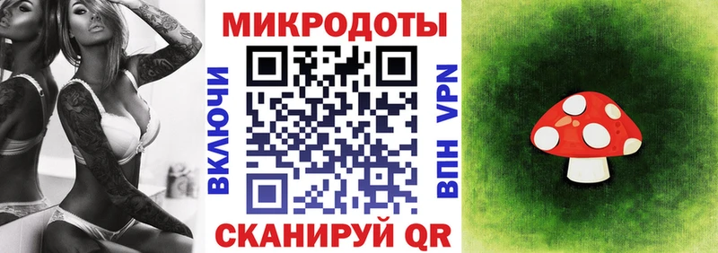 где можно купить наркотик  Краснознаменск  Галлюциногенные грибы MAGIC MUSHROOMS 